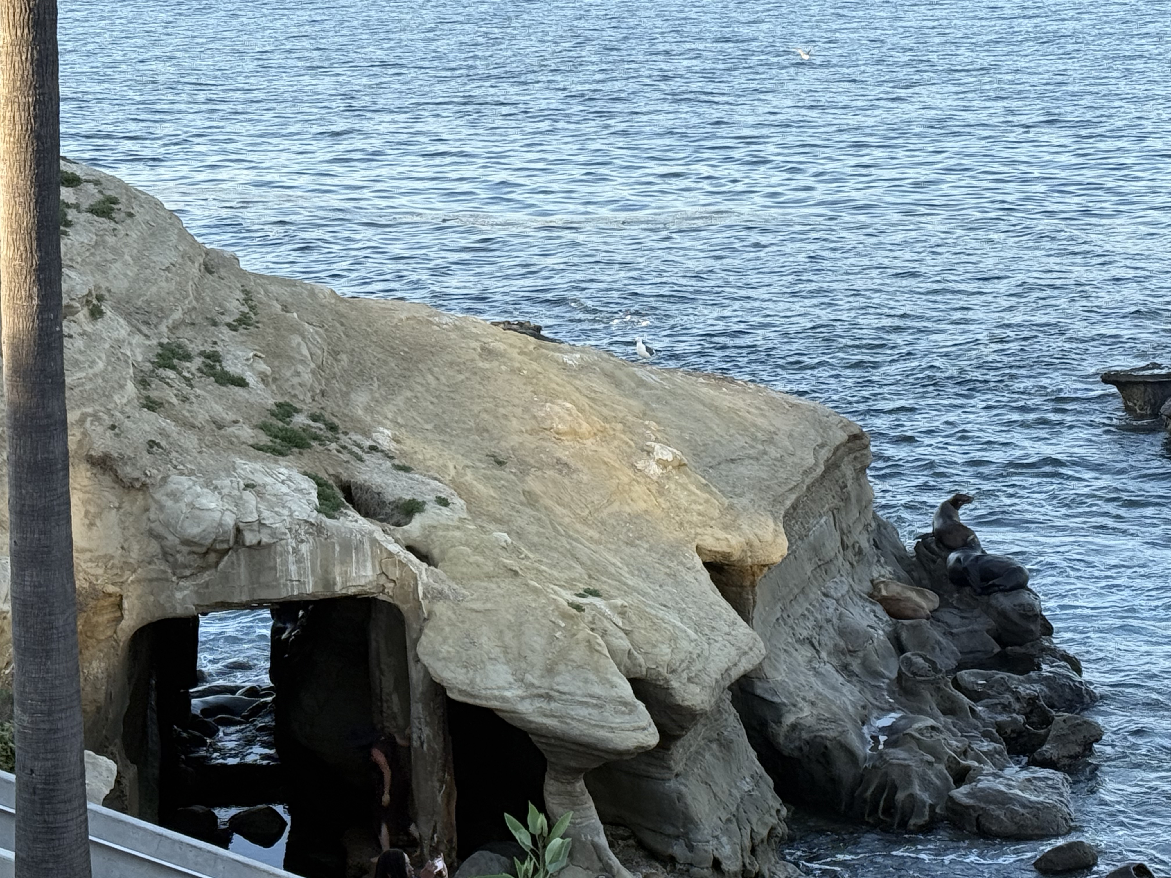 San Diego Scenery or ZYL Team - Photo 4